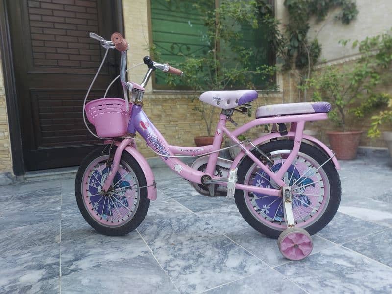 Cycle For 8 - 11 y/o Kids | Girls Theme Cycle | Pink Colour Cycle 0