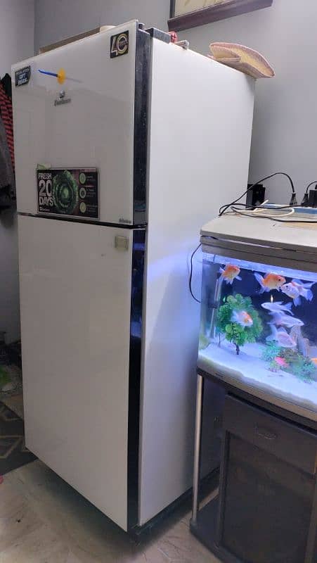 Dawlance glass door inverter refrigerator 4