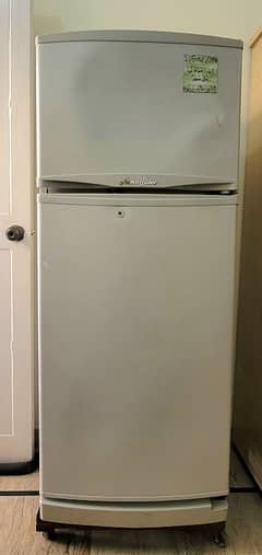 Fridge