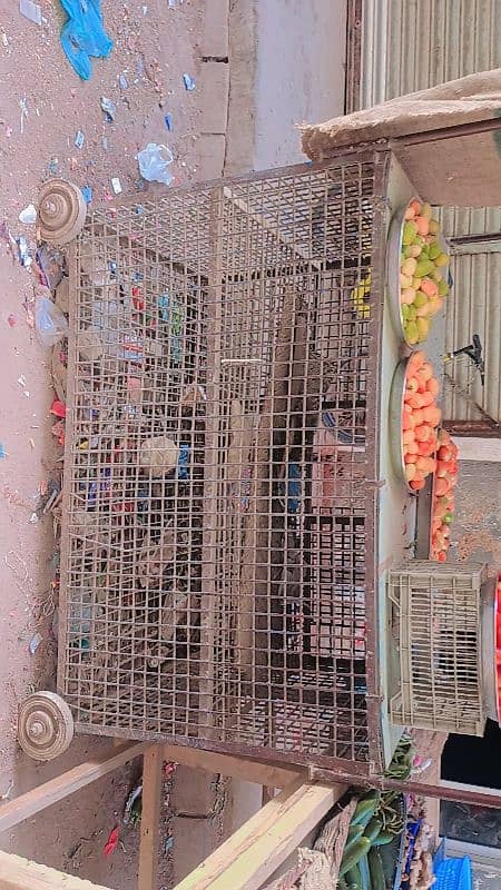 Chicken Cage For Business 6