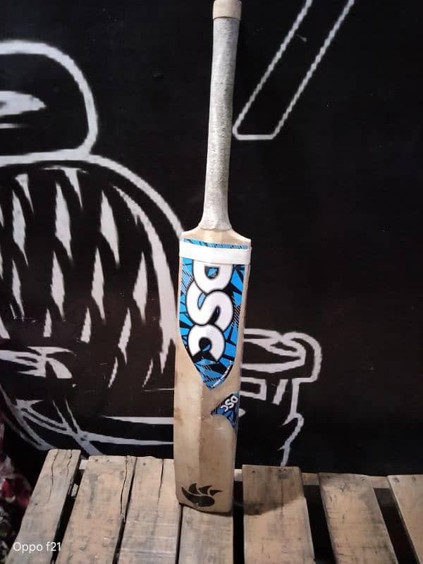Bat DSC 0
