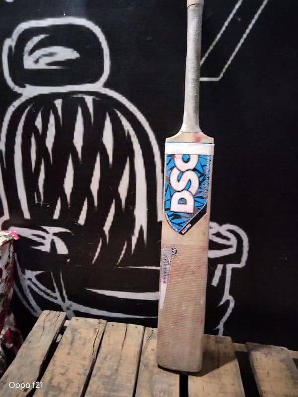 Bat DSC 1
