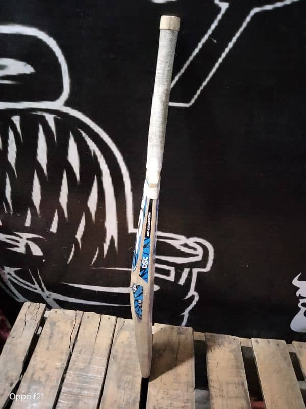 Bat DSC 2