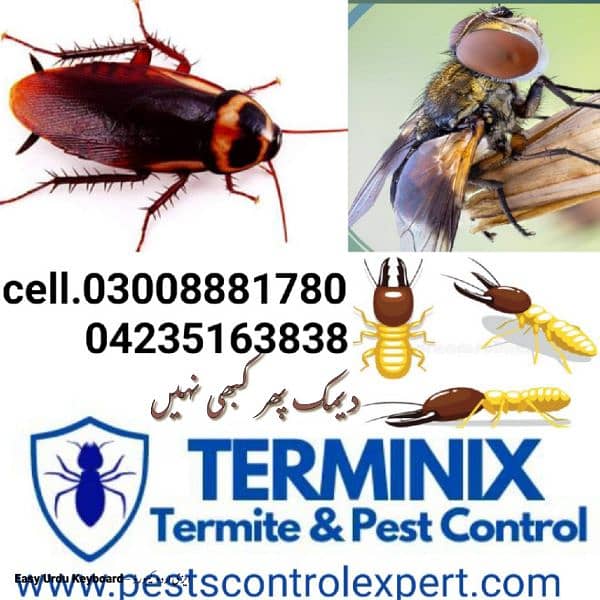 Termite/ deemak control/Pest control/fumigation/spray  insecticide 0