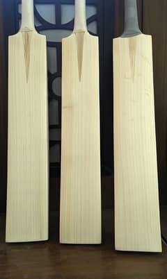 CA CRICKET BATS WITHOUT STICKER (FACTORY STOCK) Grade 1 English Willo