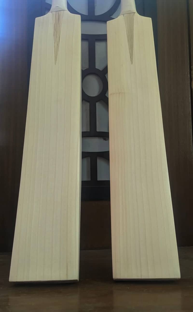 CA CRICKET BATS WITHOUT STICKER (FACTORY STOCK) Grade 1 English Willo 3