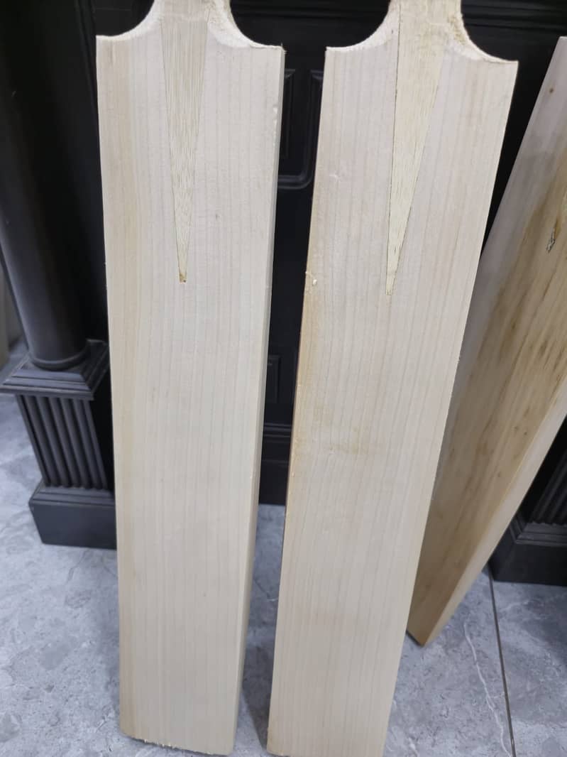 CA CRICKET BATS WITHOUT STICKER (FACTORY STOCK) Grade 1 English Willo 9