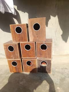 love bird's box for sale