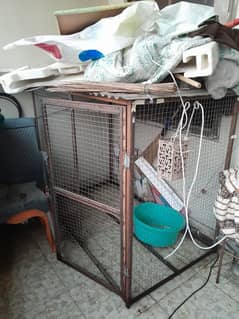 cage for dogs cats hens