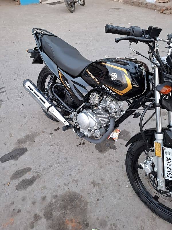 ybr 125z dx all ok lush condition no any fault new bike 19