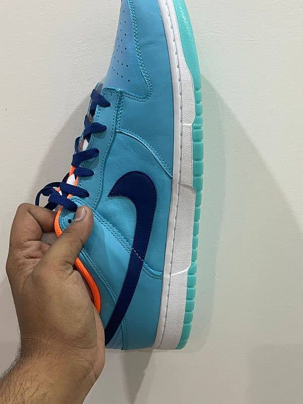 Nike Dunk Se Low 6