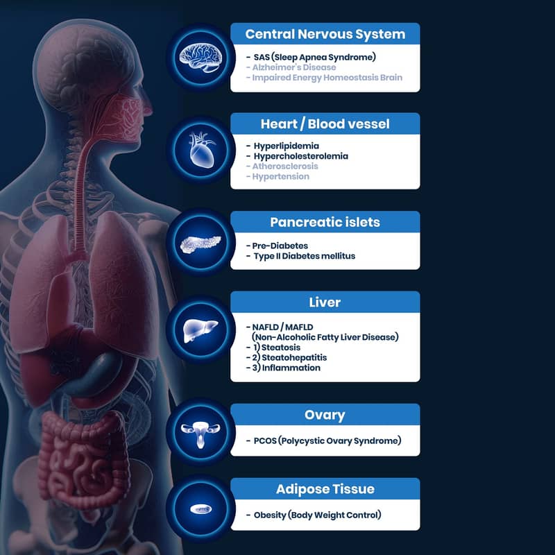 supplement medicine for sugar patient 3