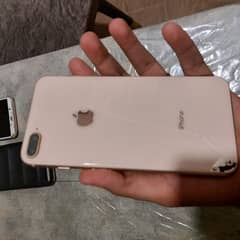 iphone 8 plus pta approved