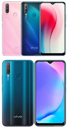 Vivo