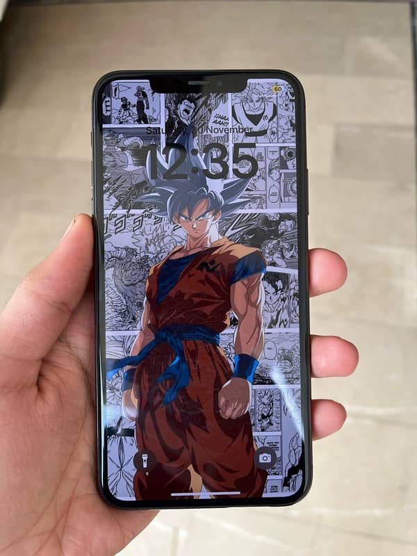 iPhone 11 Pro Max WaterPack 5