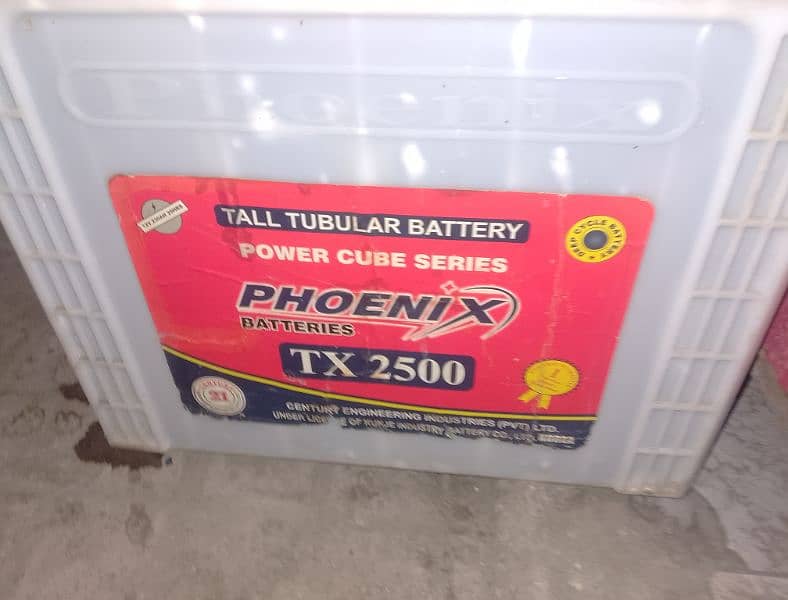 phoenix tall tubular tx 2500 2024 4 pcs available 2