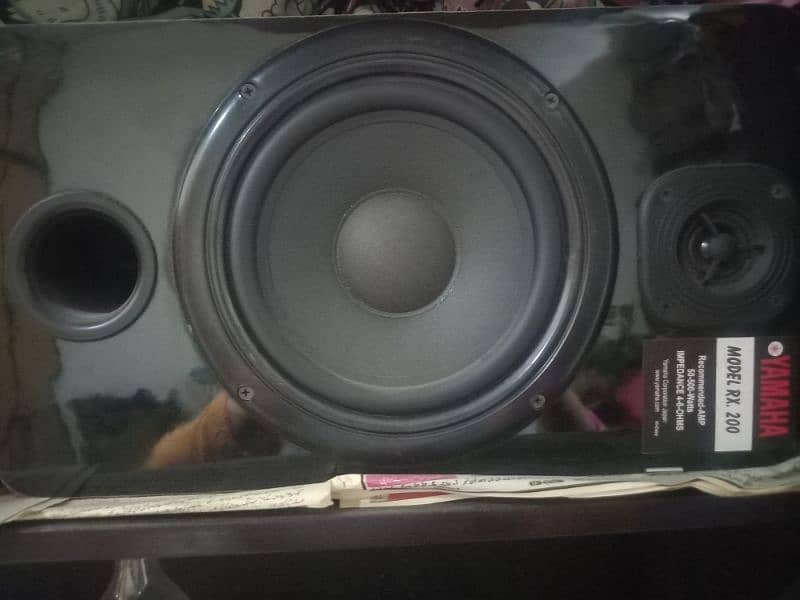 New two  speakers plus emplifier 2