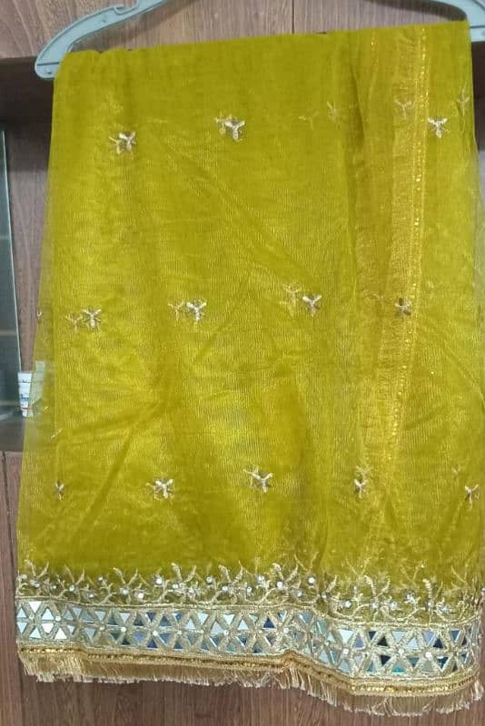 Beautiful Lehnga for Mehndi Event 2