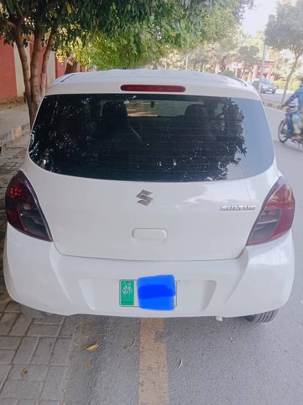 Suzuki Cultus VXR 2019 2