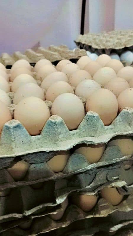 Desi egg . 30 egg Desi . 900Rs 1