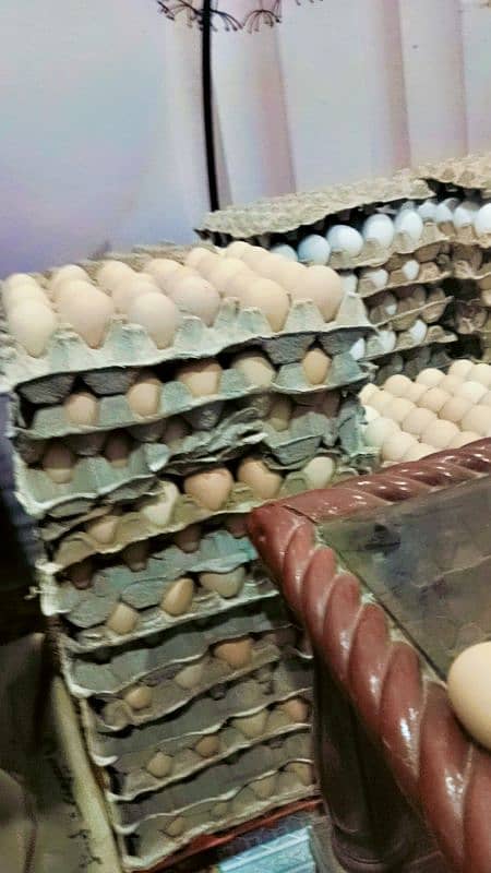 Desi egg . 30 egg Desi . 900Rs 2