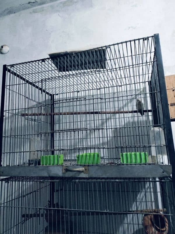 3 portion folding cage with solid frame 6