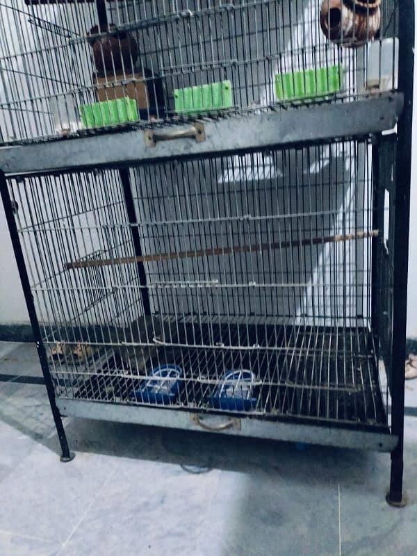 3 portion folding cage with solid frame 8