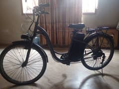 Chinese Wuxing Electric Bike