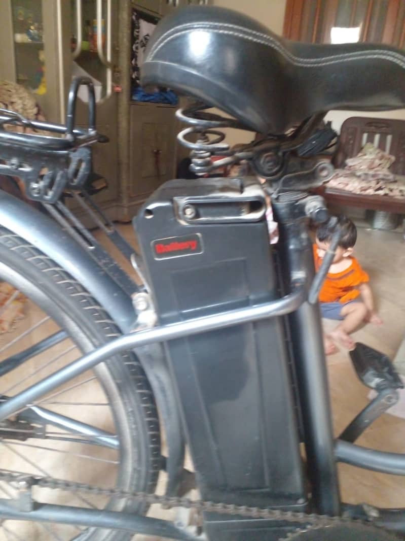 Chinese Wuxing Electric Bike 2