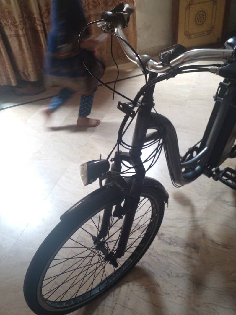 Chinese Wuxing Electric Bike 5