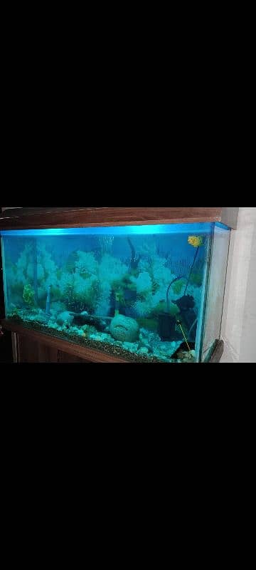 Fish Aquarium 4 Feet in 12mm glass 0