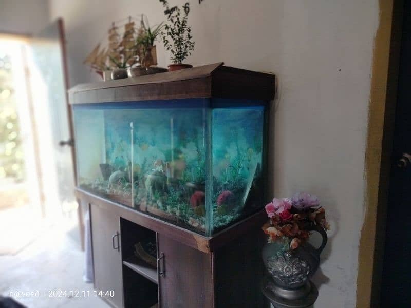 Fish Aquarium 4 Feet in 12mm glass 2