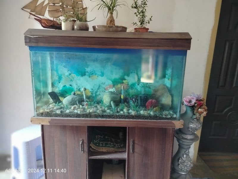 Fish Aquarium 4 Feet in 12mm glass 3