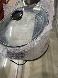 deep fryer and multi purpose cooker