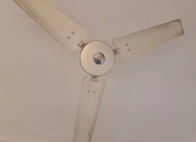 Fan pure coper full size 0