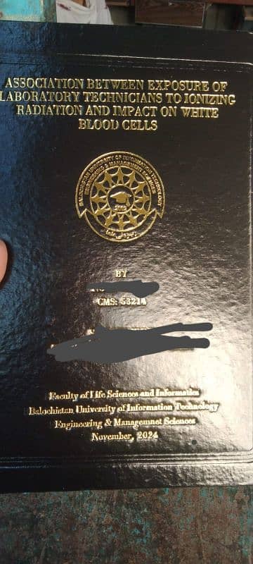 Thesis writer, Assignment writer and Student Thesis Binding, Ms Excel