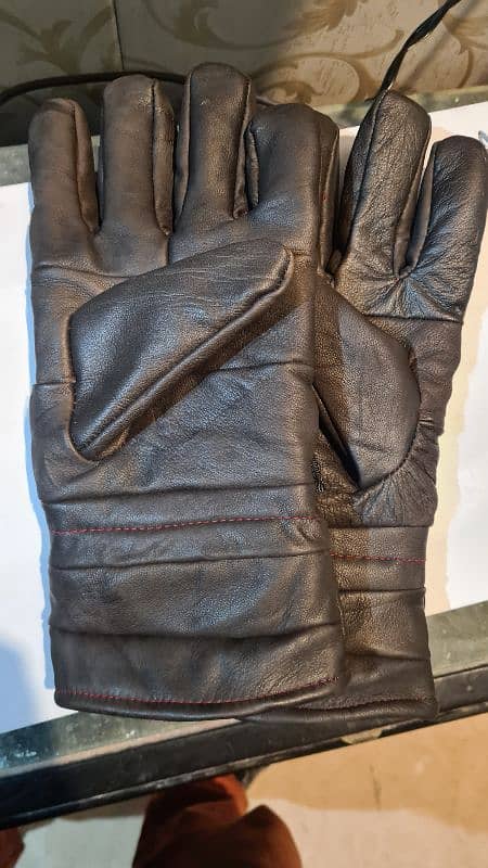 Leather Gloves 1