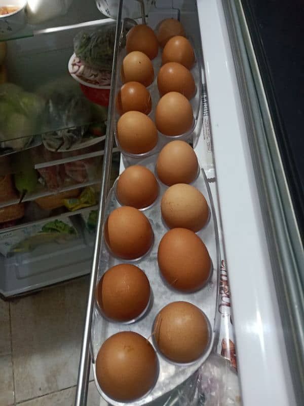 60 Gram Desi murgi eggs @500 Dozen 03343254878 5