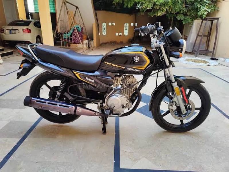 YB125Z Dx 2024 Fresh Condition 0