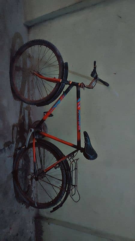 Phoenix Bicycle for sale 2