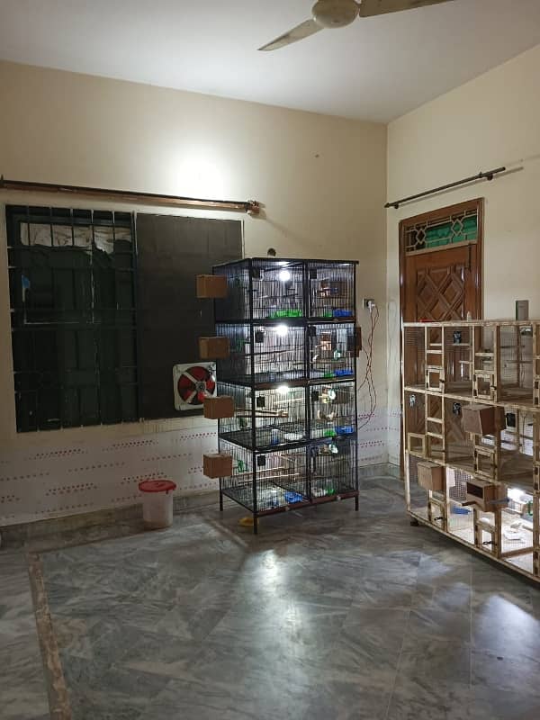 16 MARLA CORNER LOWER PORTION BACHULARS + SILENT OFFICE FOR RENT IN JOHAR TOWN LAHORE 0