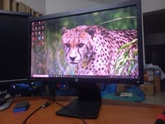 hp e221 60hz monitor 1080p FHD