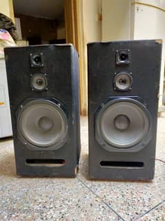 Full size 15inch speakers