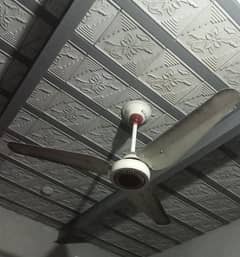 Ceiling Fan 56 Size