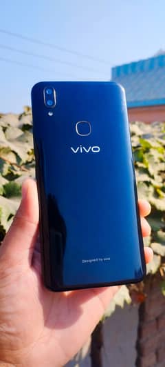 Vivo