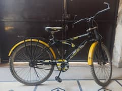 Bicycle (Good condition)