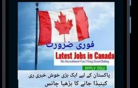 Canada jobs available whatsapp pay rabta kryn 03446847462