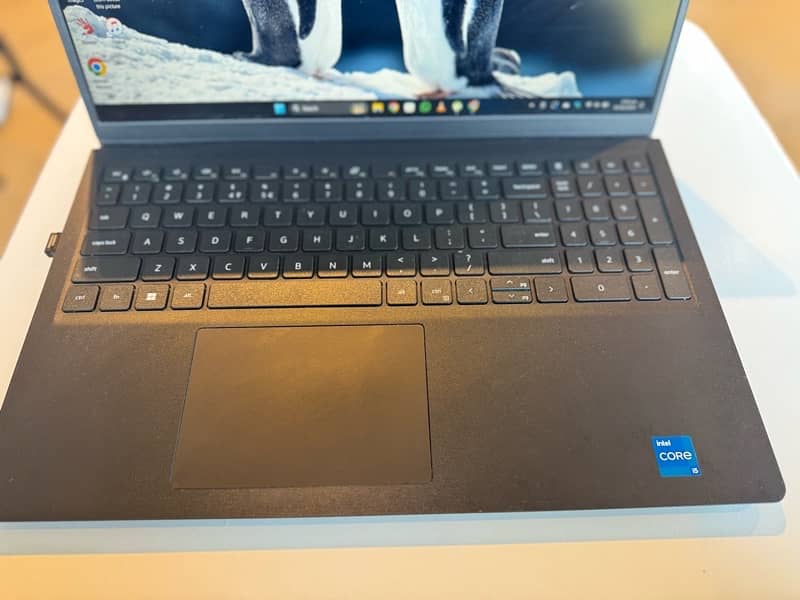 Dell Vostro 3520 I5-12th gen 3