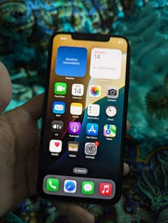 iPhone XS Max 256GB Dual Physical Approved