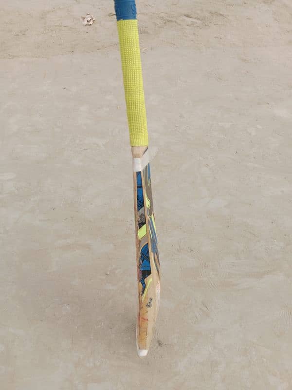 Cricket Hardball Bat Brand CA used 3